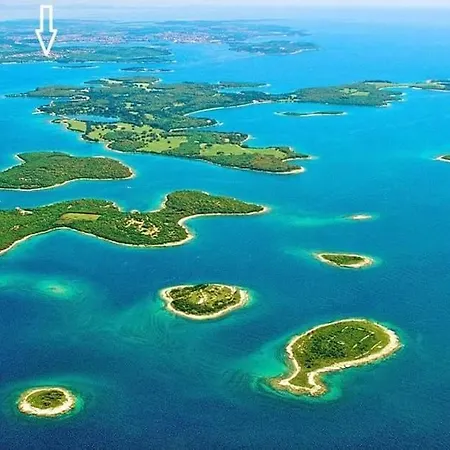 Stinjan Kascuni Pola