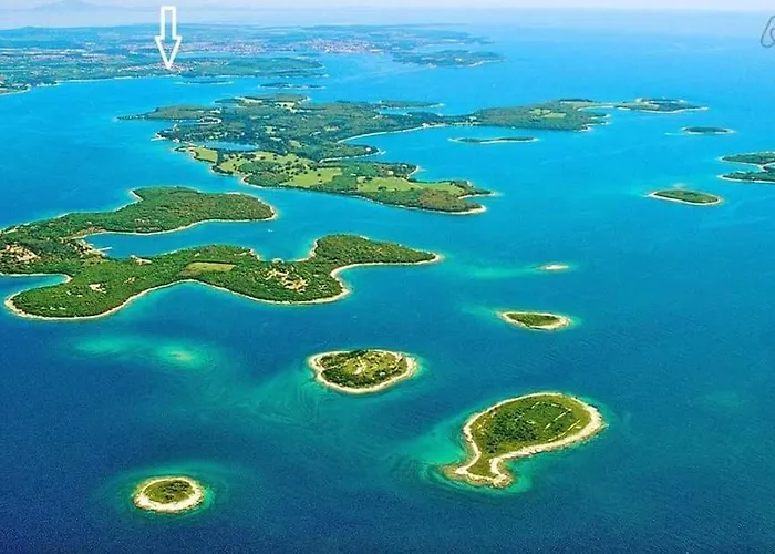 Stinjan Kascuni Póla