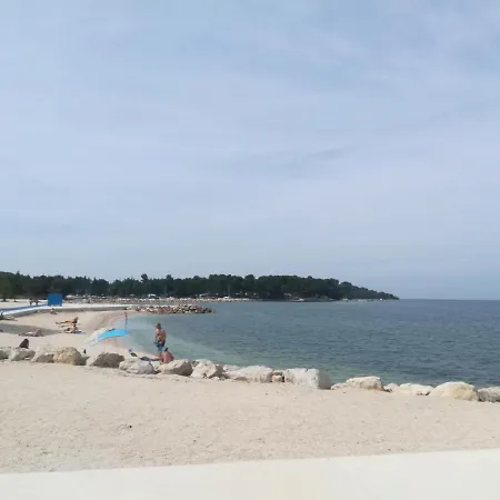 Stinjan Kascuni * Pula